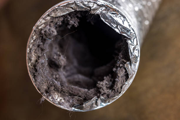 Best Ductwork Cleaning Services  in Bayou Country Clu, LA